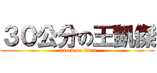 ３０公分の王凱傑 (attack on titan)