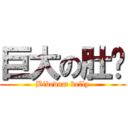 巨大の肚腩 (Bibedum belly)