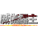 威伽露主 (IKAROS)