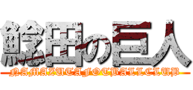 鯰田の巨人 (NAMAZUTAFOTBALLCLUB)