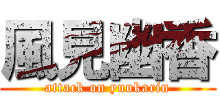 風見幽香 (attack on yuukarin)