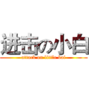 进击の小白 (attack on little bai)