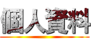 個人資料 ()