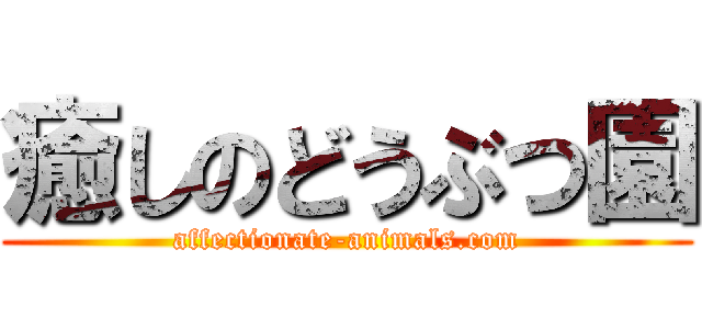 癒しのどうぶつ園 (affectionate-animals.com)