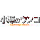 小澤のウンコ (UNKO OF OZAWA)