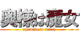 奥様は魔女 (my wife is witch)