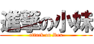 進撃の小妹 (attack on Rex)