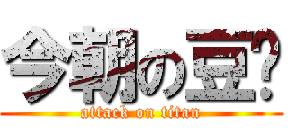今朝の豆🫘 (attack on titan)