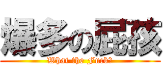 爆多の屁孩 (What the Fuck！)