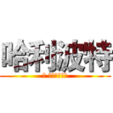 哈利波特 (与 进口快件分类)