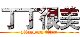 丁丁很美 (attack on titan)