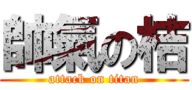 帥氣の桔 (attack on titan)