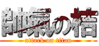 帥氣の桔 (attack on titan)