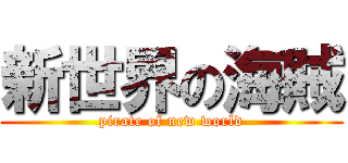 新世界の海賊 (pirate of new world)