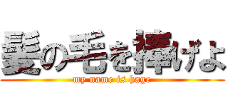 髪の毛を捧げよ (my name is hage)