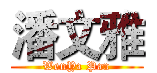 潘文雅 (WenYa Pan)