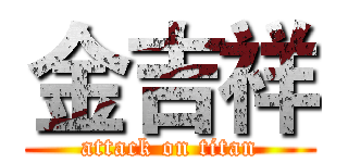 金吉祥 (attack on titan)