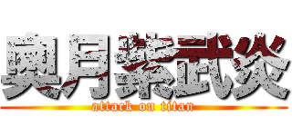 奧月紫武炎 (attack on titan)