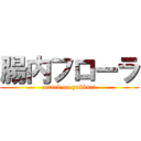 腸内フローラ (attack on yukkuri)