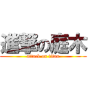 進撃の庭木 (attack on titan)