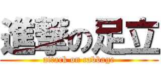 進撃の足立 (attack on cabbage)