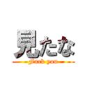 見たな (Fuck you)