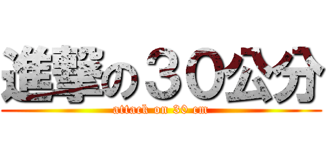 進撃の３０公分 (attack on 30 cm)