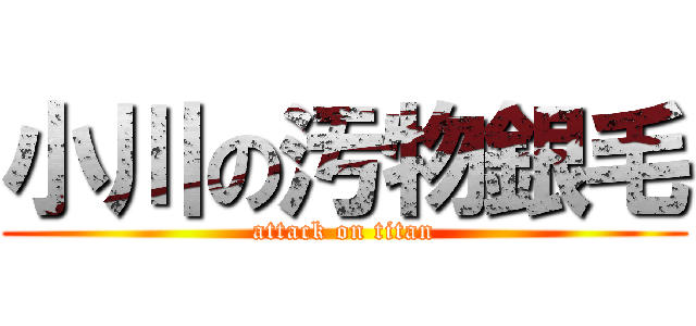 小川の汚物銀毛 (attack on titan)