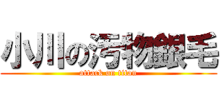 小川の汚物銀毛 (attack on titan)