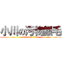 小川の汚物銀毛 (attack on titan)