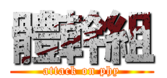 體幹組 (attack on phy)