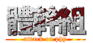 體幹組 (attack on phy)