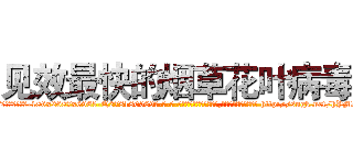 见效最快的烟草花叶病毒 (见效最快的烟草花叶病毒【电-186x2687x6963-Q278180069元-吉-药-业】我们做的是长期生意,靠的是老客户长期支持 http://sngk.net/hYMoPY
)