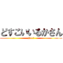 どすこいいるかさん (No.8)
