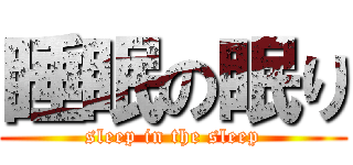 睡眠の眠り (sleep in the sleep)
