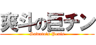 爽斗の巨チン (Sawato's Penis)