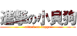 進撃の小貝狗 (attack on baygo)