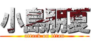 小島朋夏 (attack on titan)