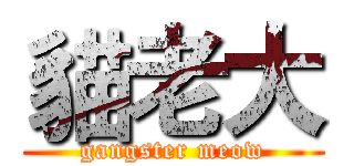 貓老大 (gangster meow)