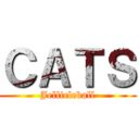 ＣＡＴＳ (Jellicleball)