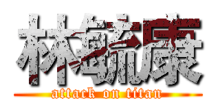 林毓康 (attack on titan)