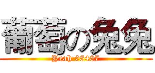 葡萄の兔兔 (Yeah 08487)
