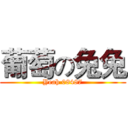 葡萄の兔兔 (Yeah 08487)