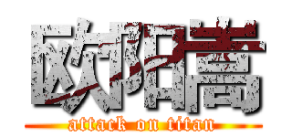 欧阳嵩 (attack on titan)