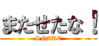 またせたな！ (SNAKE)