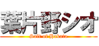 葉片野シオ (Salt of Hakata)