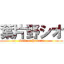 葉片野シオ (Salt of Hakata)