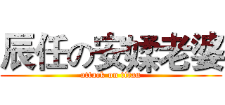 辰任の安媃老婆 (attack on titan)