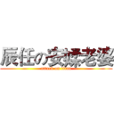 辰任の安媃老婆 (attack on titan)