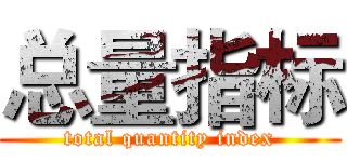 总量指标 (total quantity index)